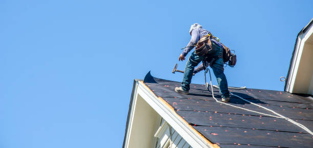 Best Roof Maintenance Services  in Concord, CA
